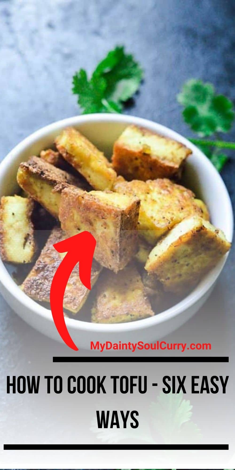 how-to-cook-tofu-six-easy-ways-my-dainty-soul-curry