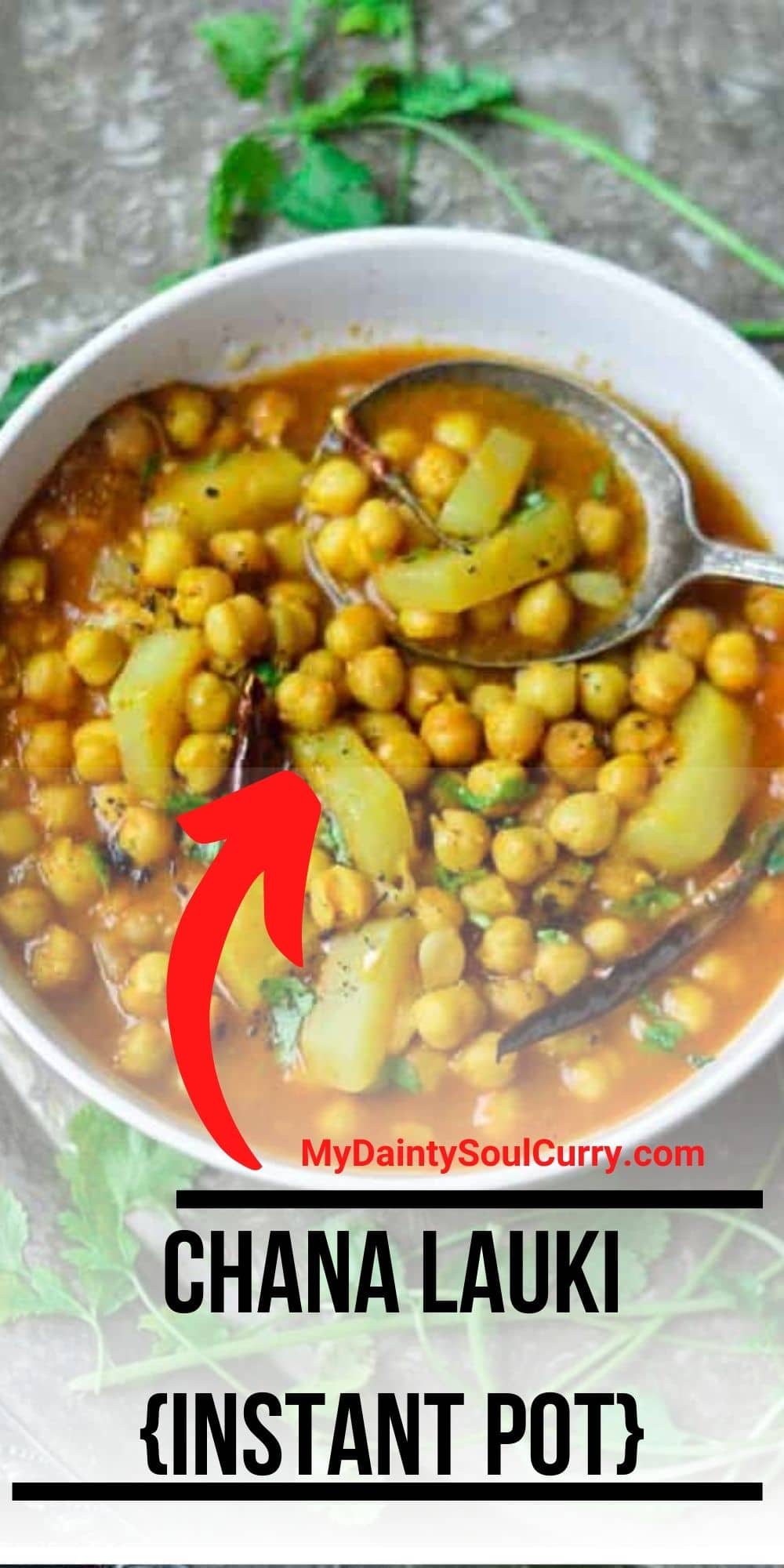 Chana Lauki Instant Pot My Dainty Soul Curry