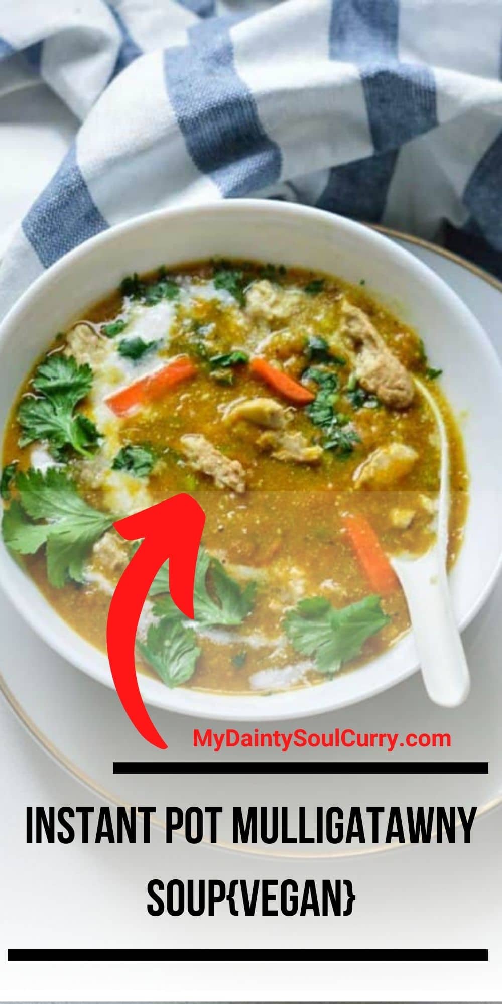 Instant Pot Mulligatawny Soup{Vegan} - My Dainty Soul Curry