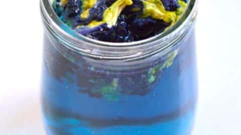 Butterfly Pea Flower Tea (Hot, Cold) - Galaxy Tea - Life's Little Sweets, Recipe